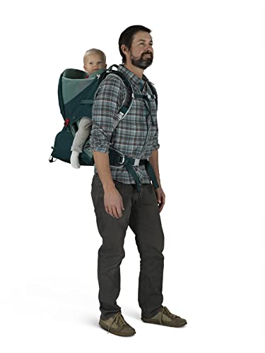 Lightweight Child Carrier Backpack For Hiking And Travel Safe Comfort Fit On The Go
