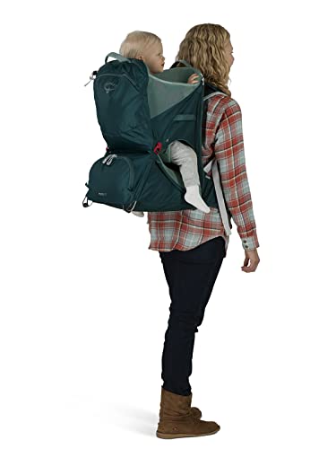 Lightweight Child Carrier Backpack For Hiking And Travel Safe Comfort Fit On The Go