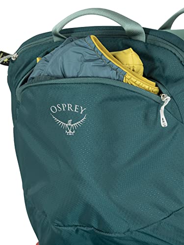 Lightweight Child Carrier Backpack For Hiking And Travel Safe Comfort Fit On The Go
