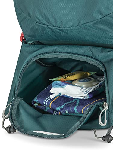 Lightweight Child Carrier Backpack For Hiking And Travel Safe Comfort Fit On The Go