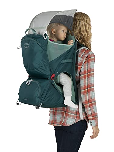 Lightweight Child Carrier Backpack For Hiking And Travel Safe Comfort Fit On The Go