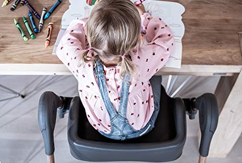Six In One High Chair With Six Growth Modes Five Recline Positions Nine Height Levels Essential Grey