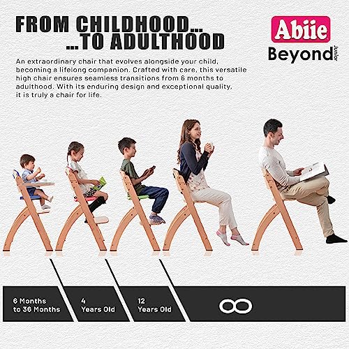 Three In One Adjustable Wooden High Chair For Babies And Toddlers With Removable Tray